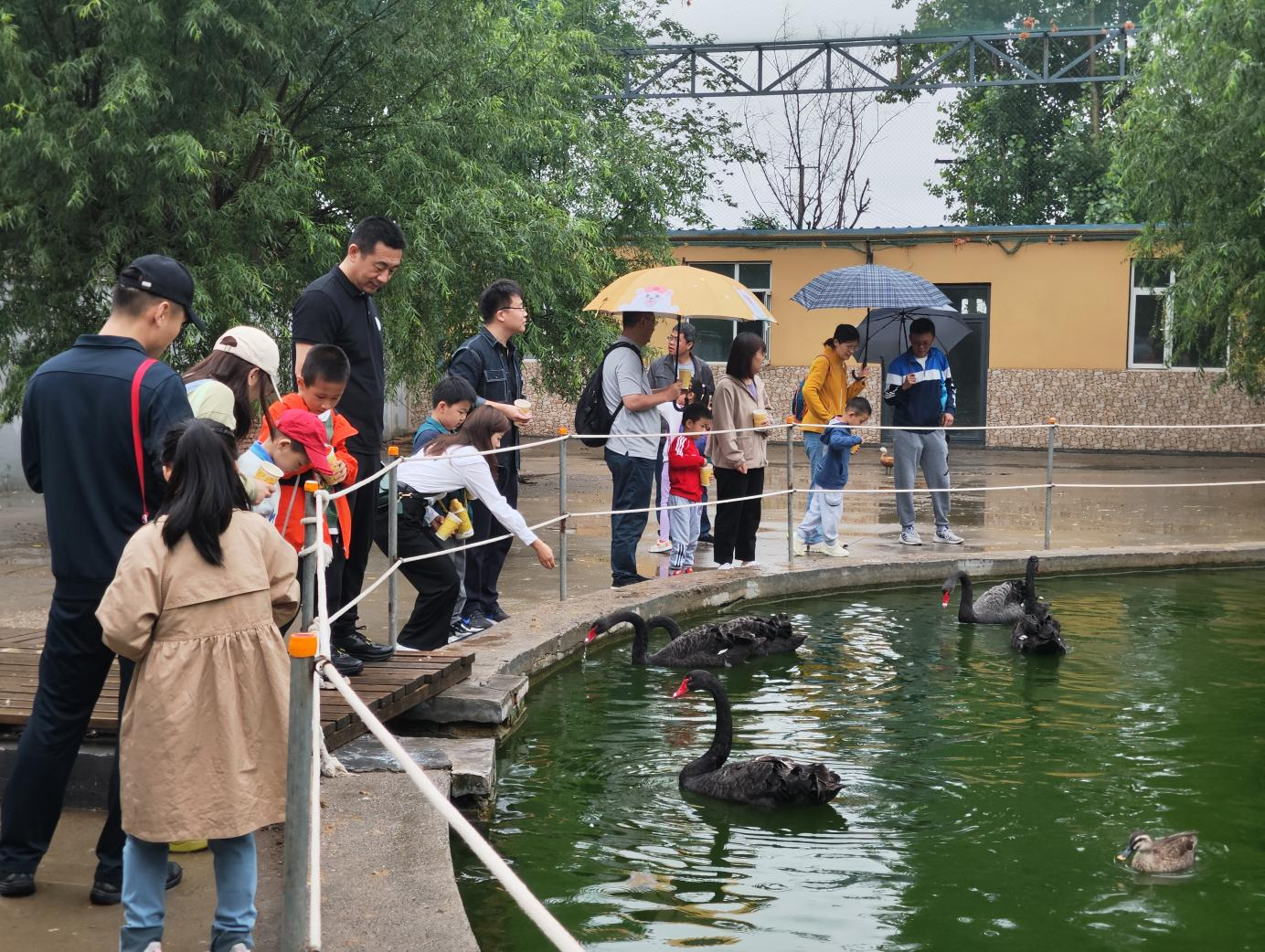 跳高高试玩平台(中国游)官方网站